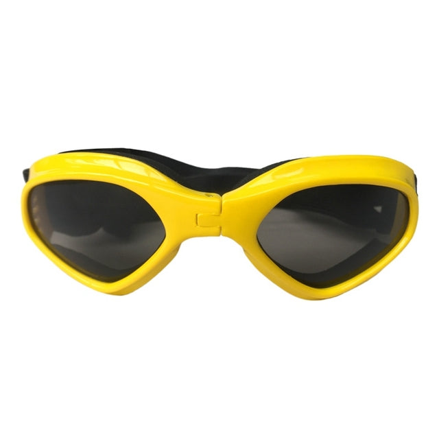 Biker Sunglasses