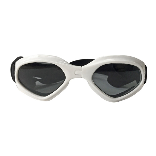 Biker Sunglasses