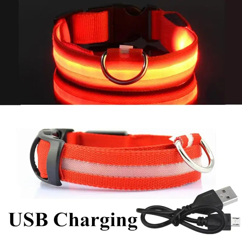 Adjustable LED Collar