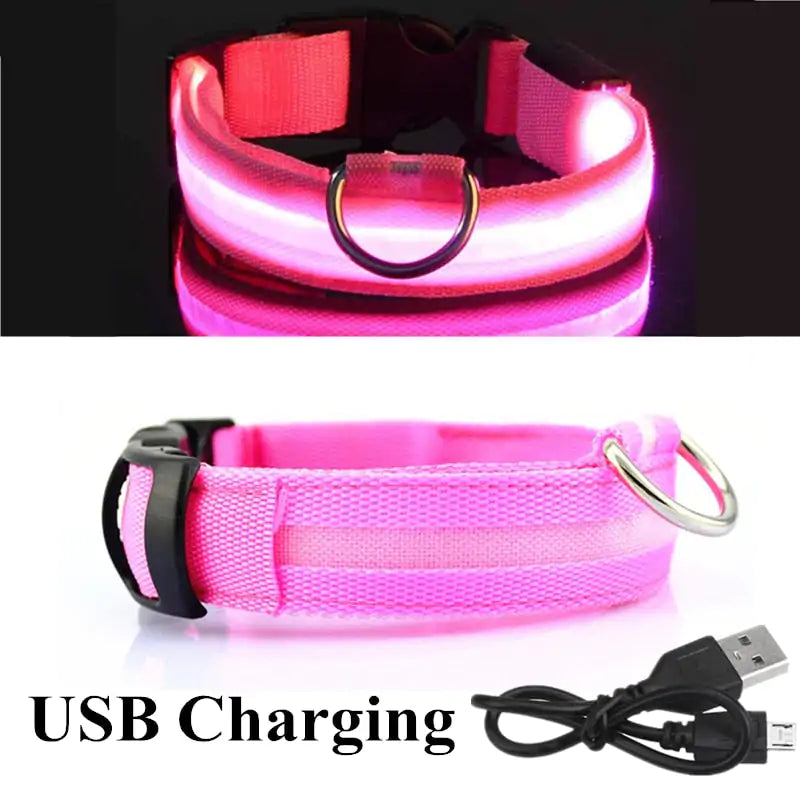 Adjustable LED Collar