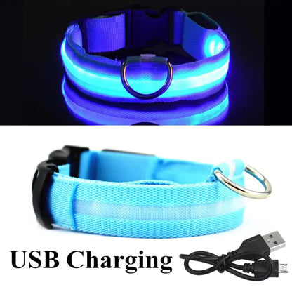 Adjustable LED Collar