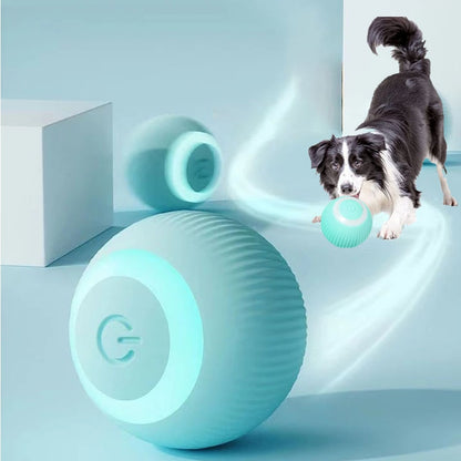 Smart Ball Toy