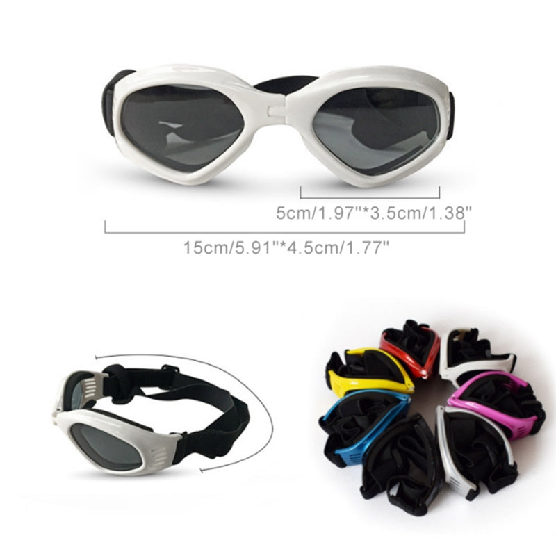 Biker Sunglasses