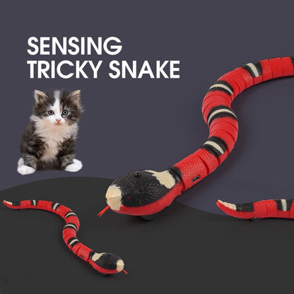 Snake Toy