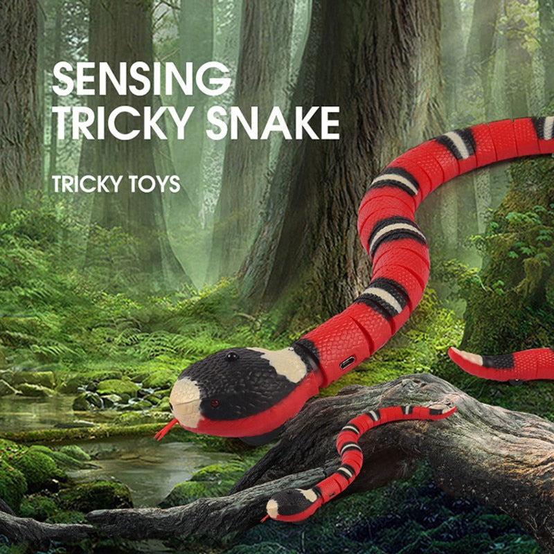 Snake Toy