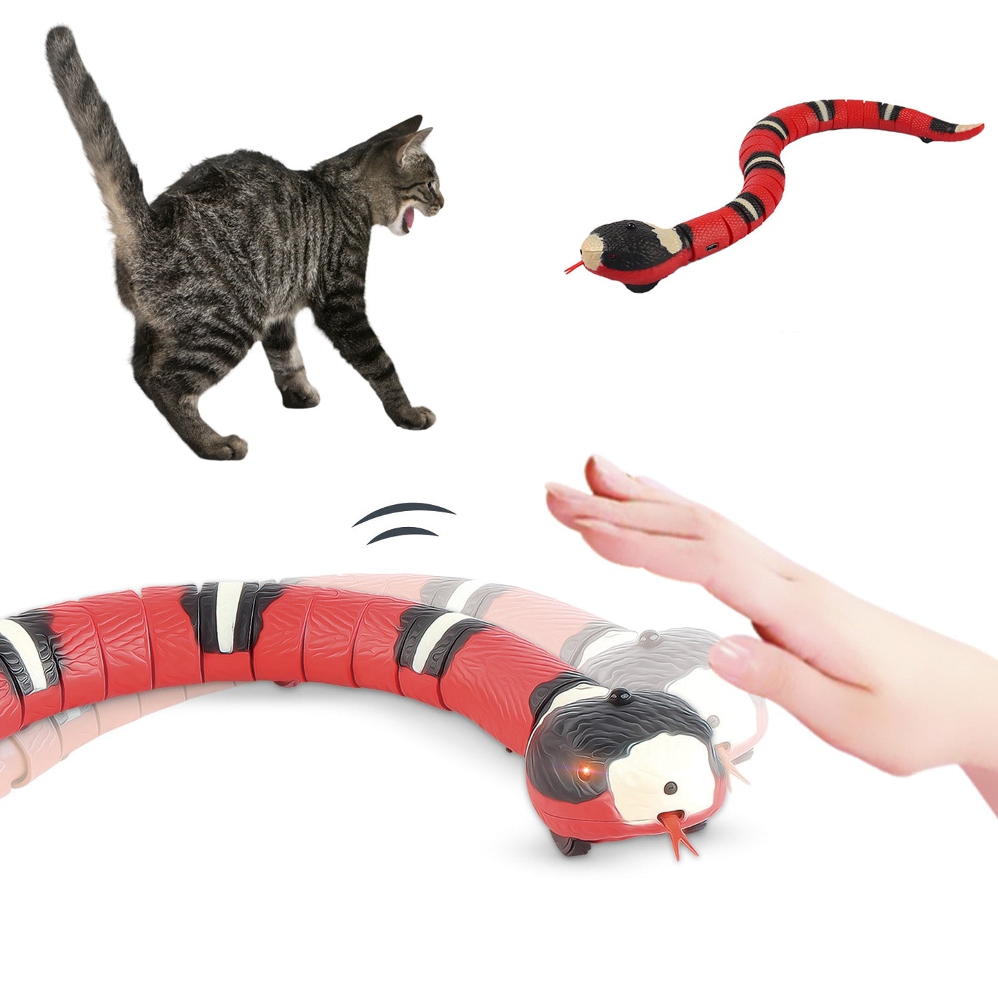 Snake Toy