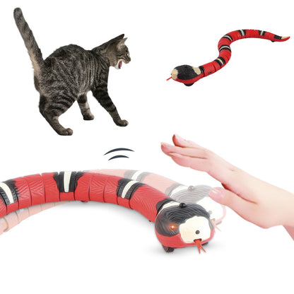 Snake Toy