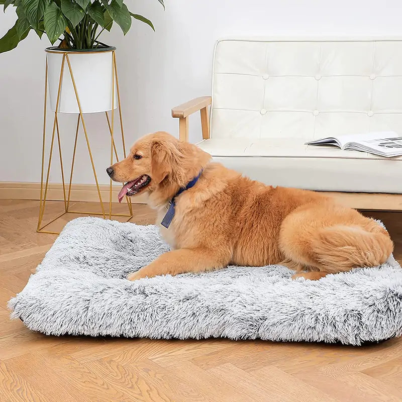 Fluffy Comfy Plush Washable Dog Bed