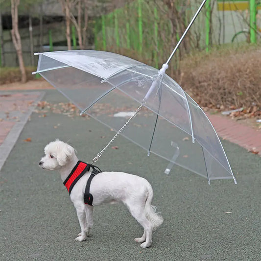 Pet Umbrella Leash Pet Supplies 