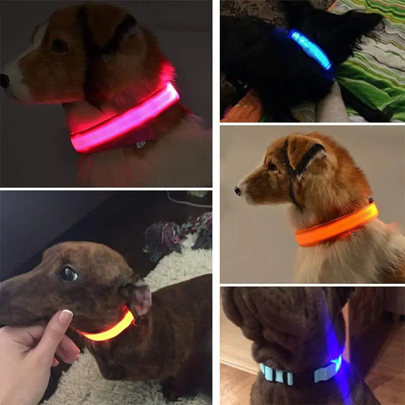 Adjustable LED Collar