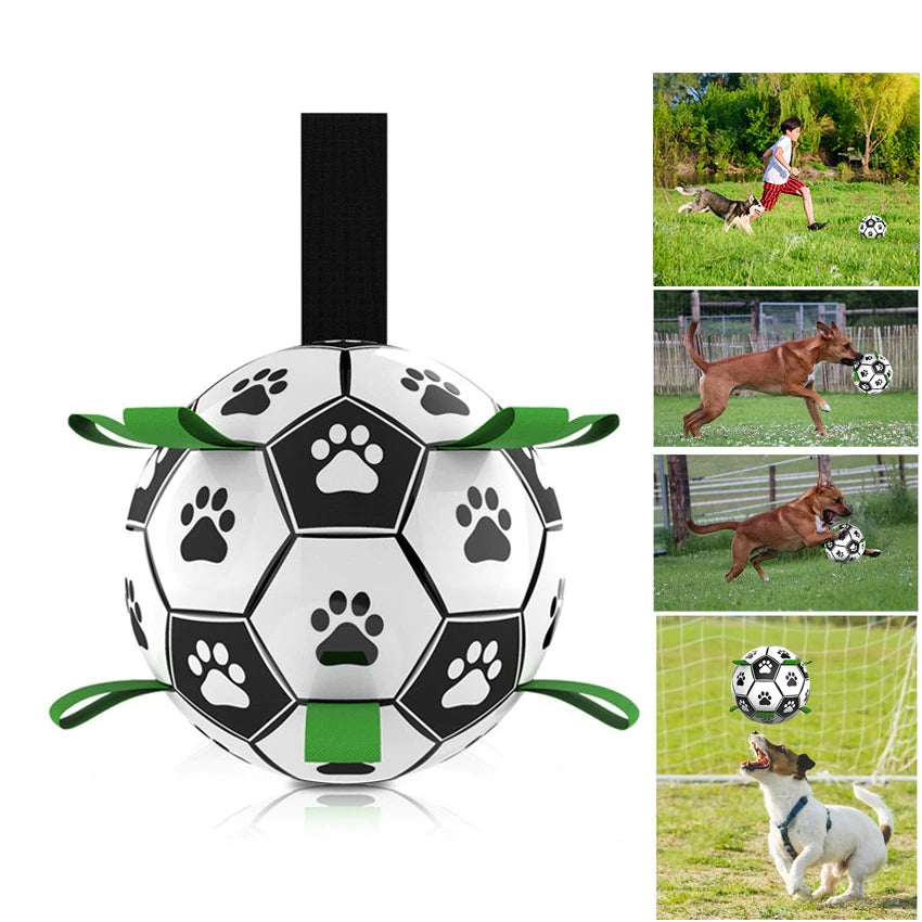 Soccer Ball for Dogs