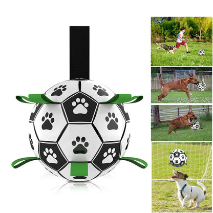 Soccer Ball for Dogs