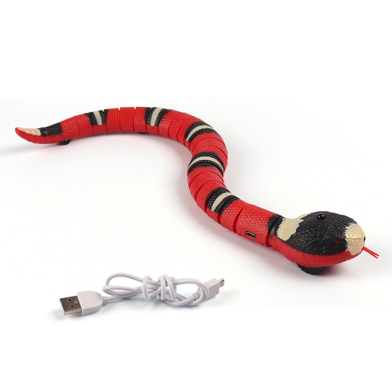 Snake Toy